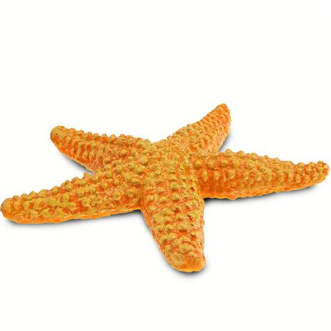 Safari Ltd Orange Starfish 276829 | Sealife