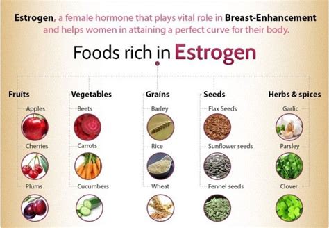 Role of Estrogen in the growth of your breasts and foods rich in estrogen | Estrogen rich foods ...