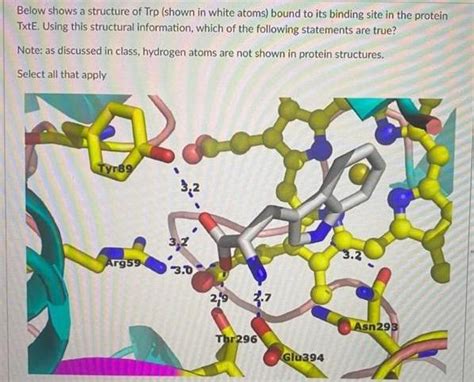 Solved Below shows a structure of Trp (shown in white atoms) | Chegg.com