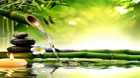 【Relaxing ZEN Music for Stress Relief】Soothing Music for Meditation ...