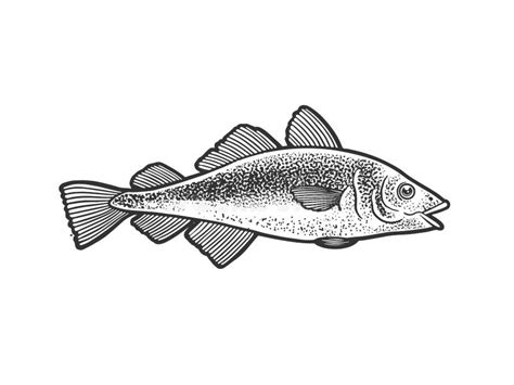 Cod Fish Drawing Stock Illustrations – 596 Cod Fish Drawing Stock ...