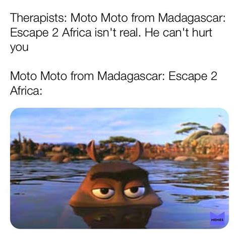 I think Moto Moto likes you : r/dankmemes