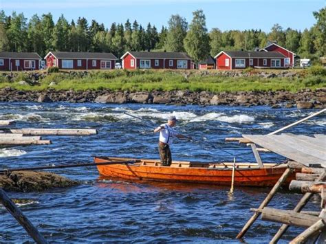 The River Torne: 522 km of Astonishing Beauty – Release Peace