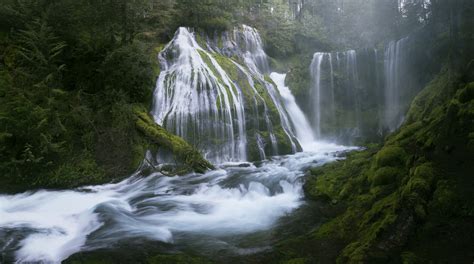 Download Moss River Tree Green Forest Nature Waterfall HD Wallpaper