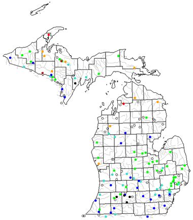 Map of Michigan Lakes, Streams and Rivers