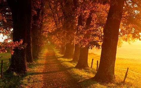 Fall Scenery Wallpapers - Wallpaper Cave