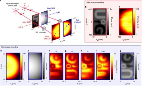 Polarization entanglement-enabled quantum holography