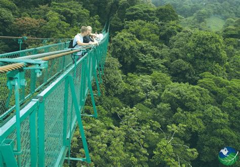 Sky Trek Monteverde Costa Rica - Hanging Bridges Adventure