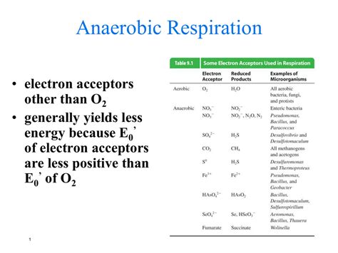 Anaerobic Respiration Electron Acceptor