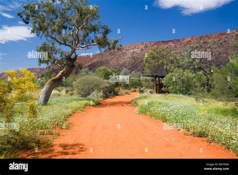 Alice Springs Desert Park. Alice Springs, Northern Territory, AUSTRALIA Stock Photo - Alamy