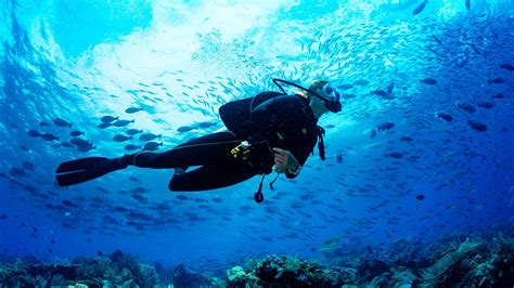 Padi Open Water – Epic Water Toys Cancun