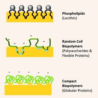 (PDF) Food emulsifier fundamentals