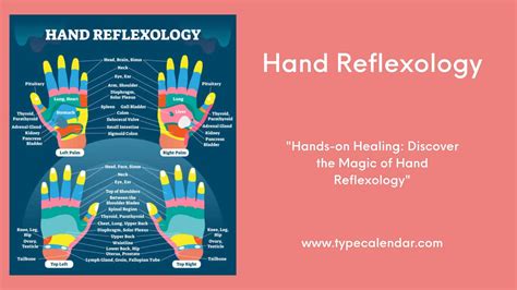 Free Printable Hand Reflexology Templates [Charts, Maps] / PDF