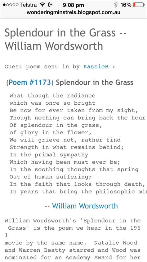 Splendor in the grass | Splendour in the grass, Wonder quotes, Journal quotes