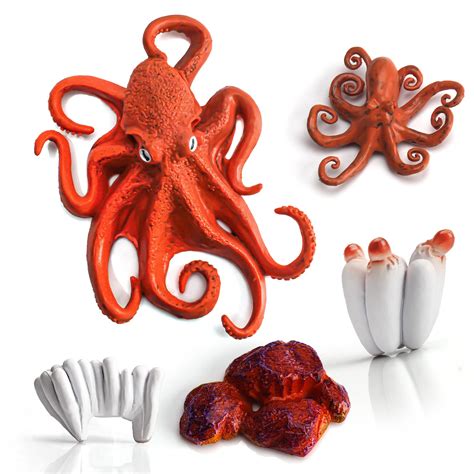 Buy Octopus Life Cycle of Octopus Figurines Octopus Figures Set Toys Realistic Animals Preschool ...