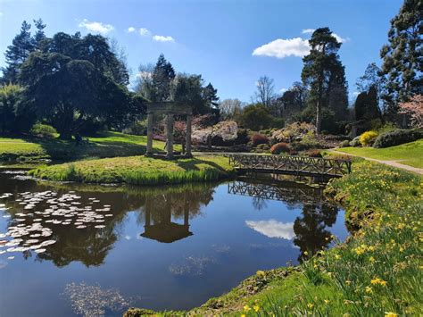 Cholmondeley Castle Gardens – Clued In With Kids