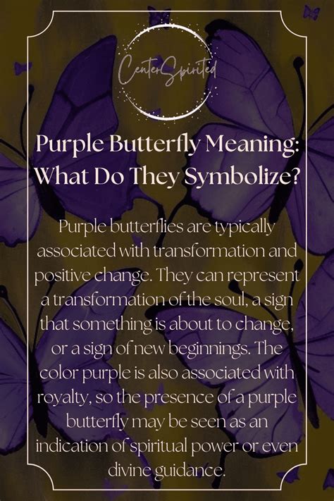 Purple Butterfly Meaning: What Do They Symbolize?As delicate as they ...