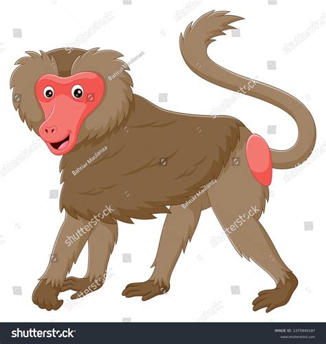 Funny Baboon Stock Photos - 7,782 Images | Shutterstock