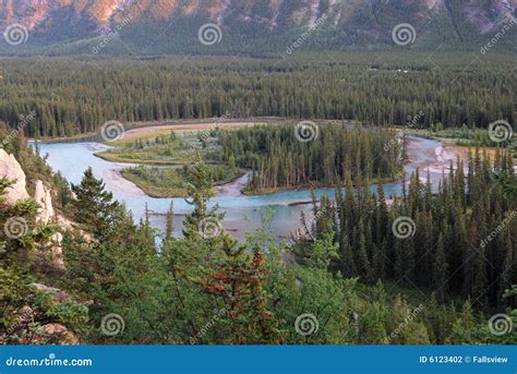 Bow river and valley stock photo. Image of forests, river - 6123402