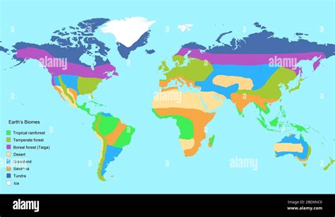 Map of Earth's major global biomes, including tropical rainforest ...