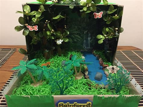 Rainforest in a shoebox | Habitats projects, Rainforest biome ...