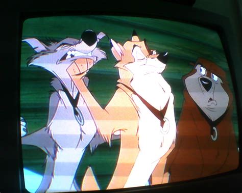 Balto 1 - random balto characters Wallpaper (11080782) - Fanpop