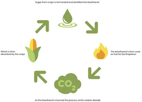 Biofuel Efficiency - Institute on the Environment