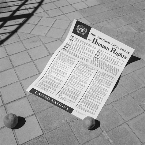 Universal Declaration of Human Rights / Poster on Behance