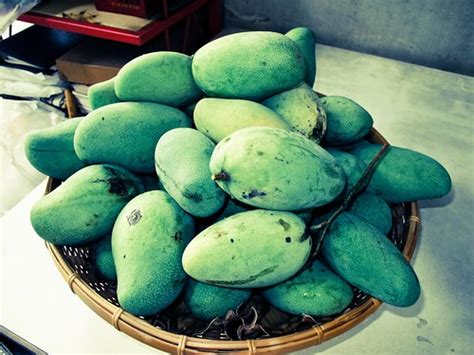 mangos | Babies from mango trees in my house | Thanabodee Yoobho | Flickr
