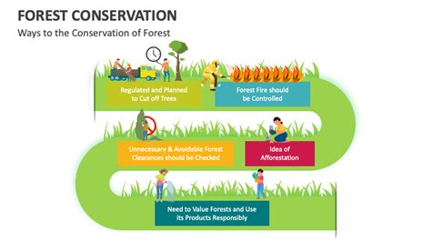 Forest Conservation PowerPoint and Google Slides Template - PPT Slides