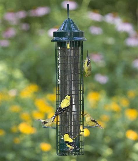 The Best Finch Feeders to Serve Thistle Seed - Birds and Blooms