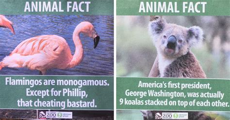 Guy Leaves Fake Animal Facts All Over Los Angeles Zoo | Bored Panda