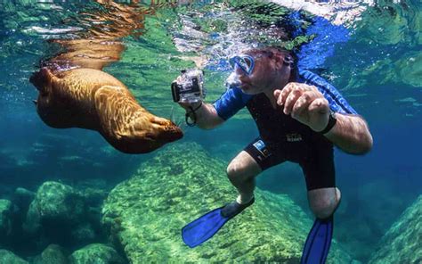 Award-Winning Galapagos Islands Adventure Tours | MT Sobek - Mountain ...