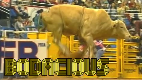 Most Dangerous Bulls of Rodeo History - Cowboy Lifestyle Network