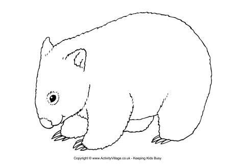 Wombat Colouring Page | Animal coloring pages, Australian animals, Wombat