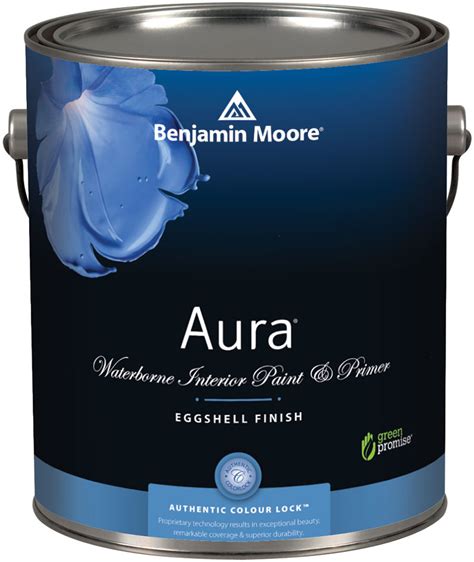 Aura Paint and Primer in One - Paintshop