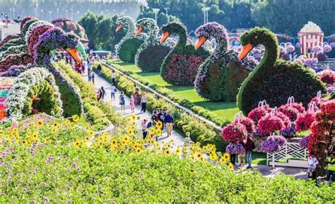 Dubai Land Miracle Garden Location Map | Fasci Garden