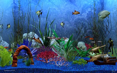 🔥 Download Aquarium Wallpaper by @nataliestevens | Aquarium Live Wallpaper for Desktop, Aquarium ...
