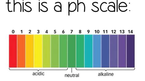 Acids And Alkalis Assignment Point | My XXX Hot Girl