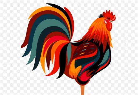 Chicken Rooster Clip Art Vector Graphics Illustration, PNG, 570x570px ...