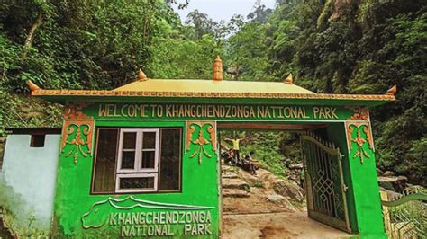 Exploring the Natural Wonders of Sikkim's Kanchenjunga National Park ...