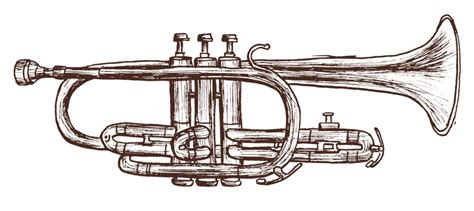 Trumpet Drawing at GetDrawings | Free download