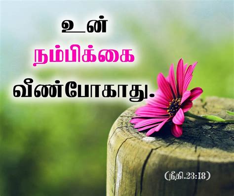 Tamil bible vasanam download - cashnimfa