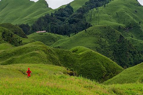 Dzukou Valley Trek – Abor Country Travels & Expedition