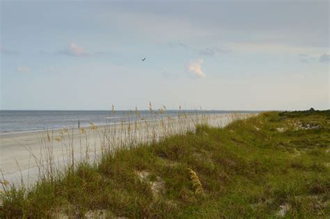 Brunswick Golden Isles > Sapelo Island Georgia Brunswick Golden Isles