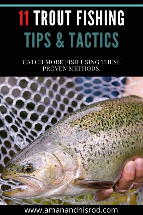 11 proven trout fishing tips you can trust – Artofit