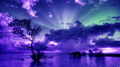 Purple Sunset Photos