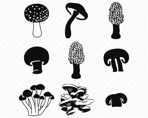 Mushroom Drawing, Mushroom Art, Valentine Doodle, Arm Tats, Bujo ...