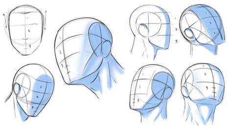 How to Draw a Head Digital Art - Johnson Legrattlyzed1956