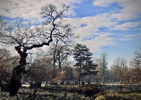 Dunham Massey Winter Walk [01/12/2019] - robertpoulson.com